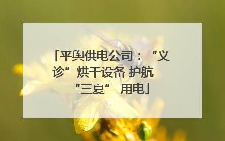 平舆供电公司：“义诊”烘干设备 护航 “三夏” 用电