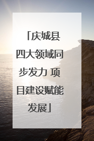庆城县 四大领域同步发力 项目建设赋能发展