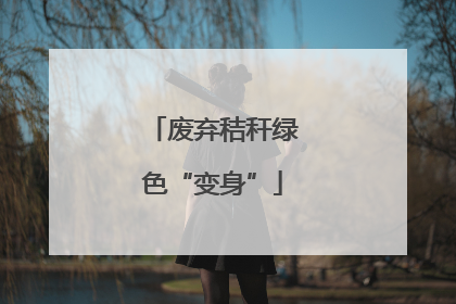 废弃秸秆绿色“变身”