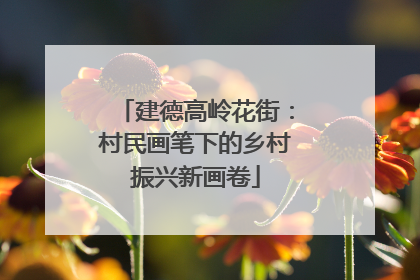 建德高岭花街：村民画笔下的乡村振兴新画卷