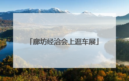 廊坊经洽会上逛车展