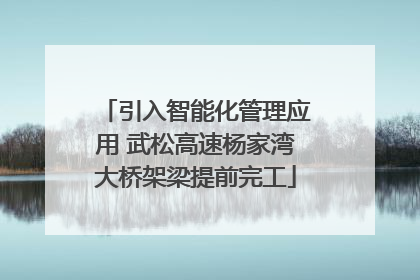 引入智能化管理应用 武松高速杨家湾大桥架梁提前完工
