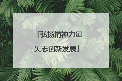 弘扬精神力量 矢志创新发展