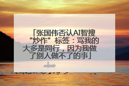 张国伟否认AI智搜“炒作”标签：骂我的大多是同行，因为我做了别人做不了的事
