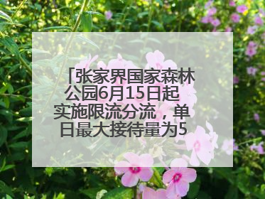 张家界国家森林公园6月15日起实施限流分流，单日最大接待量为5.3万人