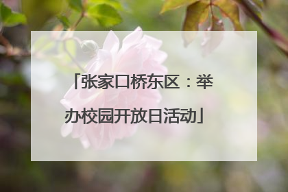 张家口桥东区：举办校园开放日活动
