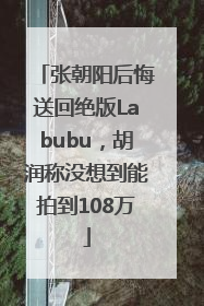 张朝阳后悔送回绝版Labubu，胡润称没想到能拍到108万