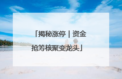 揭秘涨停｜资金抢筹核聚变龙头