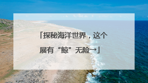 探秘海洋世界，这个展有“鲸”无险→