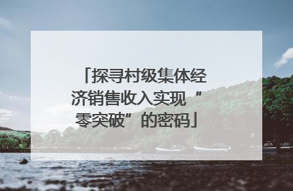 探寻村级集体经济销售收入实现“零突破”的密码