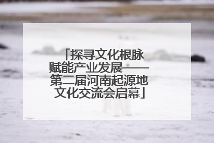 探寻文化根脉 赋能产业发展——第二届河南起源地文化交流会启幕