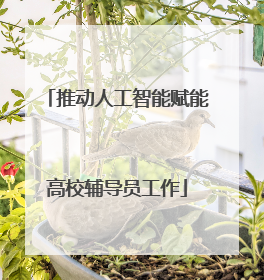 推动人工智能赋能高校辅导员工作