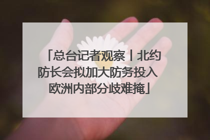 总台记者观察丨北约防长会拟加大防务投入 欧洲内部分歧难掩
