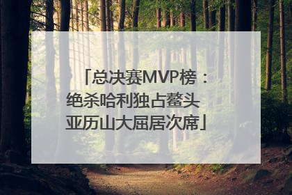 总决赛MVP榜：绝杀哈利独占鳌头 亚历山大屈居次席