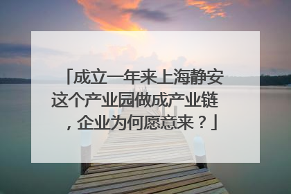 成立一年来上海静安这个产业园做成产业链，企业为何愿意来？