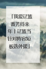 我爱辽篮 蓄芳待来年丨辽篮当针对阵容短板选外援