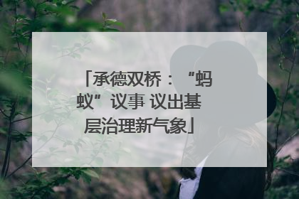 承德双桥：“蚂蚁”议事 议出基层治理新气象