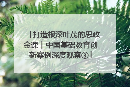 打造根深叶茂的思政金课｜中国基础教育创新案例深度观察③