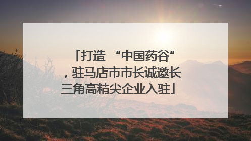 打造 “中国药谷”，驻马店市市长诚邀长三角高精尖企业入驻