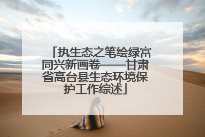 执生态之笔绘绿富同兴新画卷——甘肃省高台县生态环境保护工作综述