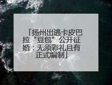 扬州出逃卡皮巴拉“豆包”公开征婚：无须彩礼且有正式编制