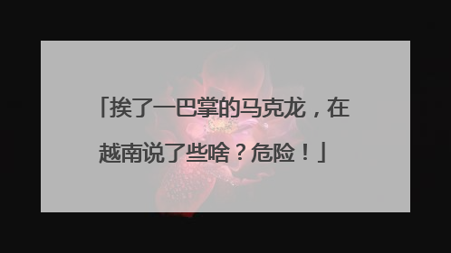 挨了一巴掌的马克龙，在越南说了些啥？危险！