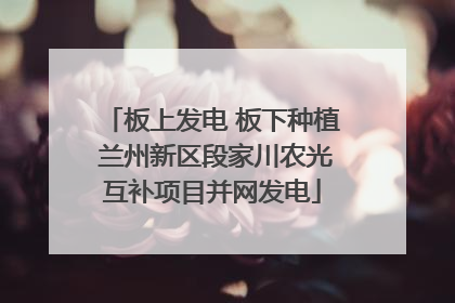 板上发电 板下种植 兰州新区段家川农光互补项目并网发电