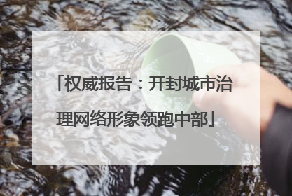 权威报告：开封城市治理网络形象领跑中部