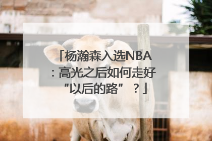 杨瀚森入选NBA：高光之后如何走好“以后的路”？