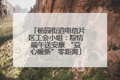 杨园街道电信片区工会小组：粽情端午送安康 “益心暖新”零距离