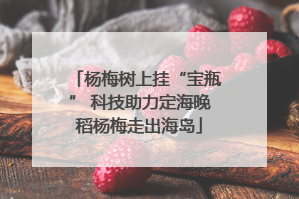 杨梅树上挂“宝瓶” 科技助力定海晚稻杨梅走出海岛
