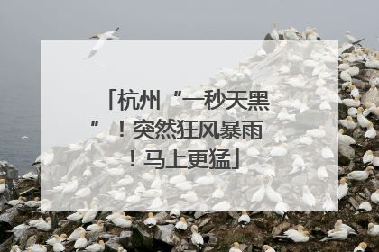 杭州“一秒天黑”！突然狂风暴雨！马上更猛