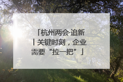 杭州两会·追新丨关键时刻，企业需要“拉一把”