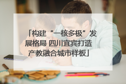 构建“一核多极”发展格局 四川宜宾打造产教融合城市样板