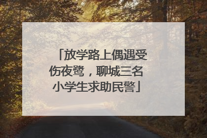 放学路上偶遇受伤夜鹭，聊城三名小学生求助民警