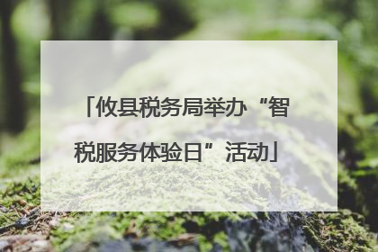 攸县税务局举办“智税服务体验日”活动