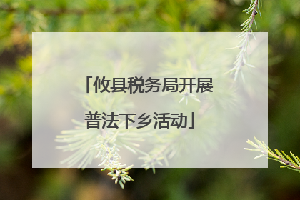 攸县税务局开展普法下乡活动