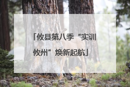 攸县第八季“实训攸州”焕新起航