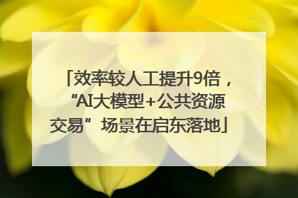 效率较人工提升9倍，“AI大模型+公共资源交易”场景在启东落地