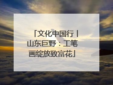 文化中国行丨山东巨野：工笔画绽放致富花