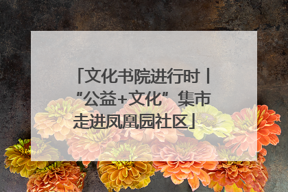 文化书院进行时丨“公益+文化”集市走进凤凰园社区