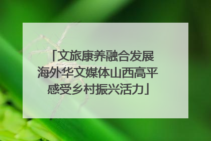文旅康养融合发展 海外华文媒体山西高平感受乡村振兴活力