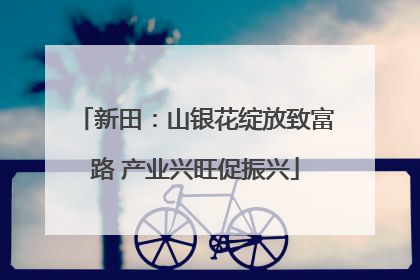 新田：山银花绽放致富路 产业兴旺促振兴
