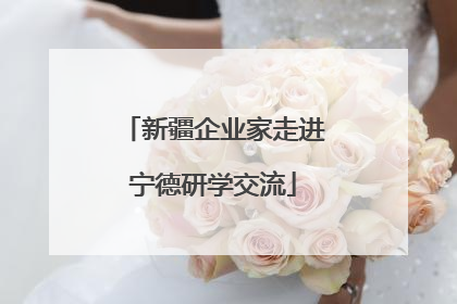 新疆企业家走进宁德研学交流