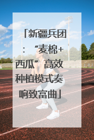新疆兵团：“麦棉+西瓜”高效种植模式奏响致富曲