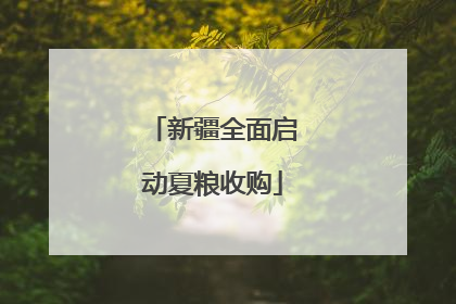 新疆全面启动夏粮收购