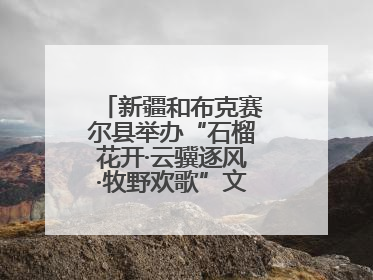 新疆和布克赛尔县举办“石榴花开·云骥逐风·牧野欢歌”文化演出季活动