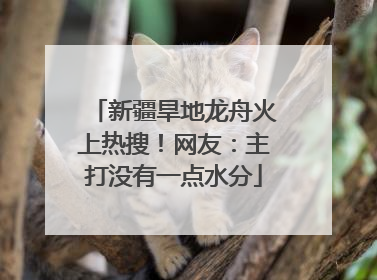 新疆旱地龙舟火上热搜！网友：主打没有一点水分