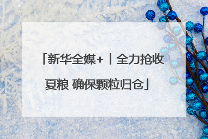 新华全媒+丨全力抢收夏粮 确保颗粒归仓