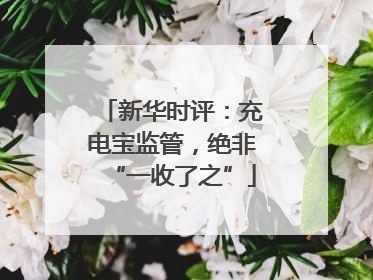 新华时评：充电宝监管，绝非“一收了之”